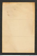 Nachlass Franz Steindachner, Brief von A. B. Meyer an Franz Steindachner (21.11.1876), Inv.Nr. 337.04, Seite 4